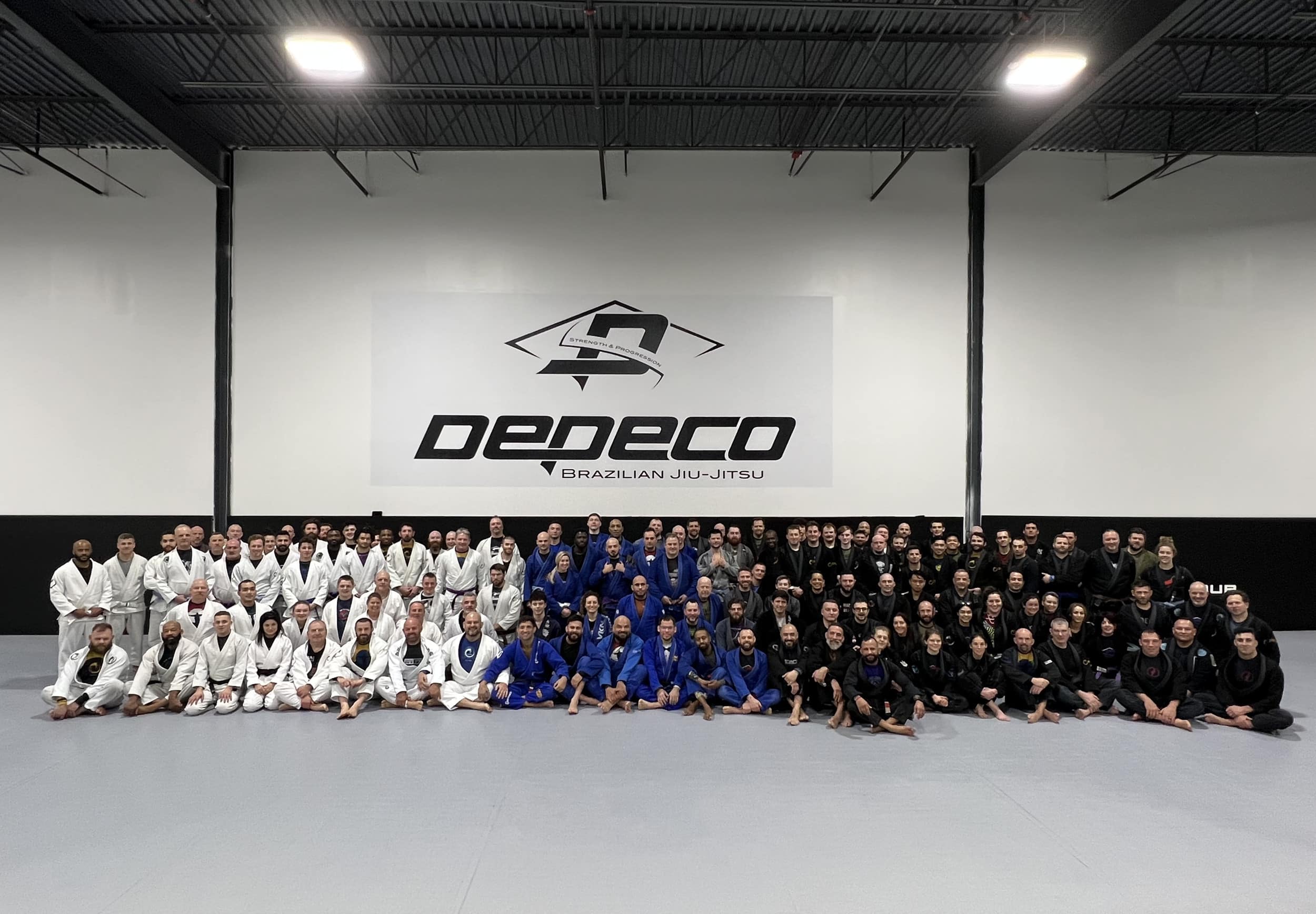 Dedeco BJJ Blog