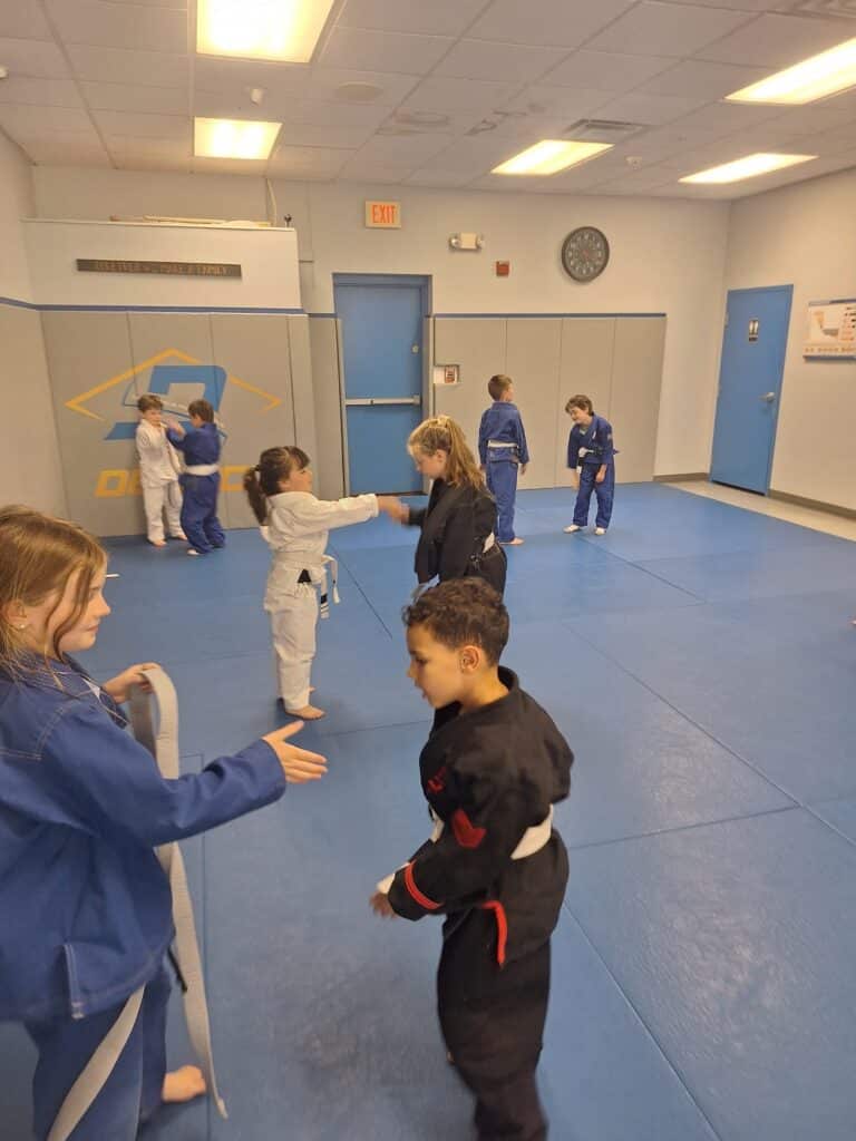 Dedeco Brazilian Jiu Jitsu Gallery Photo Number 3